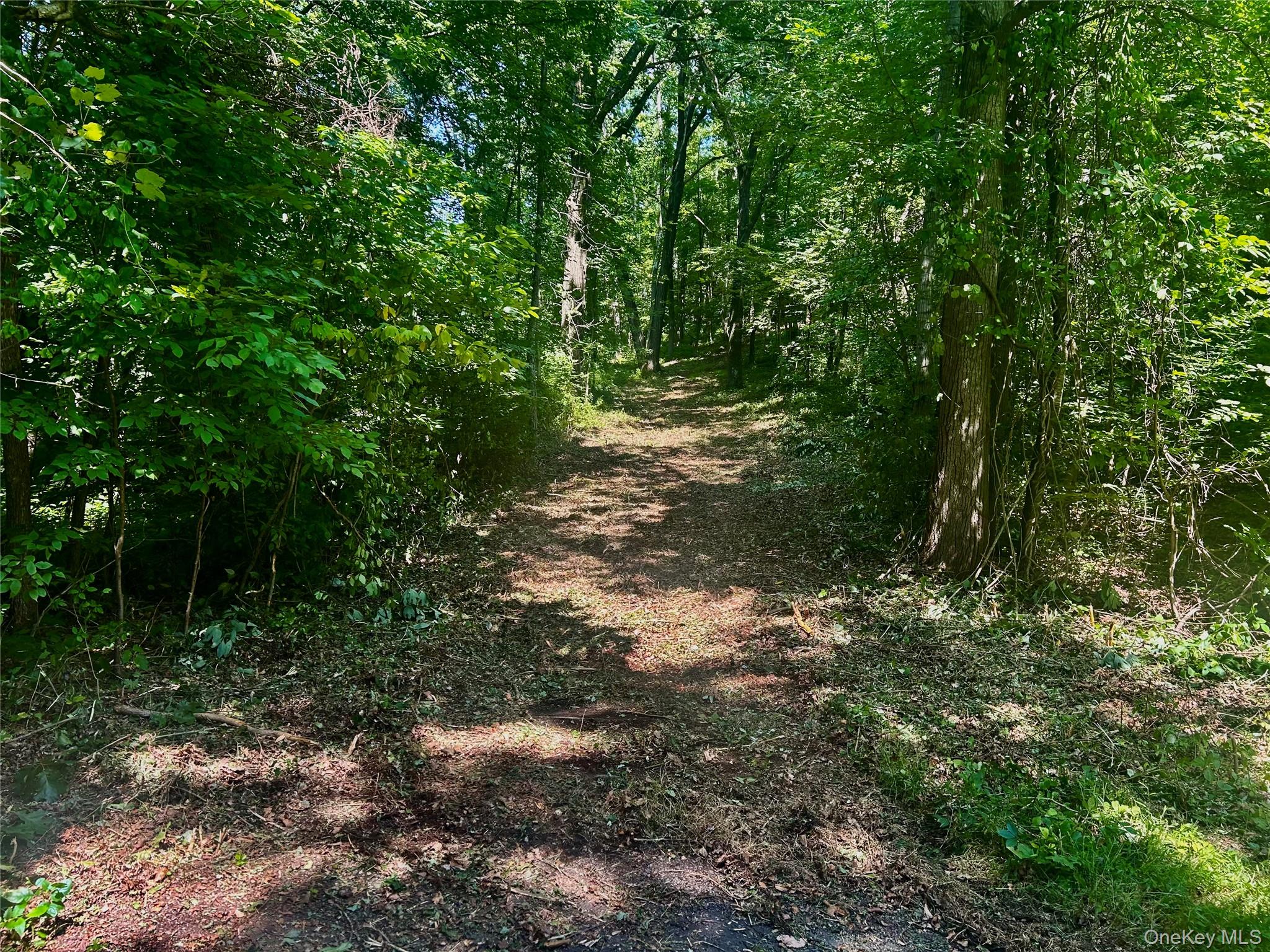 109 Deer Run Road