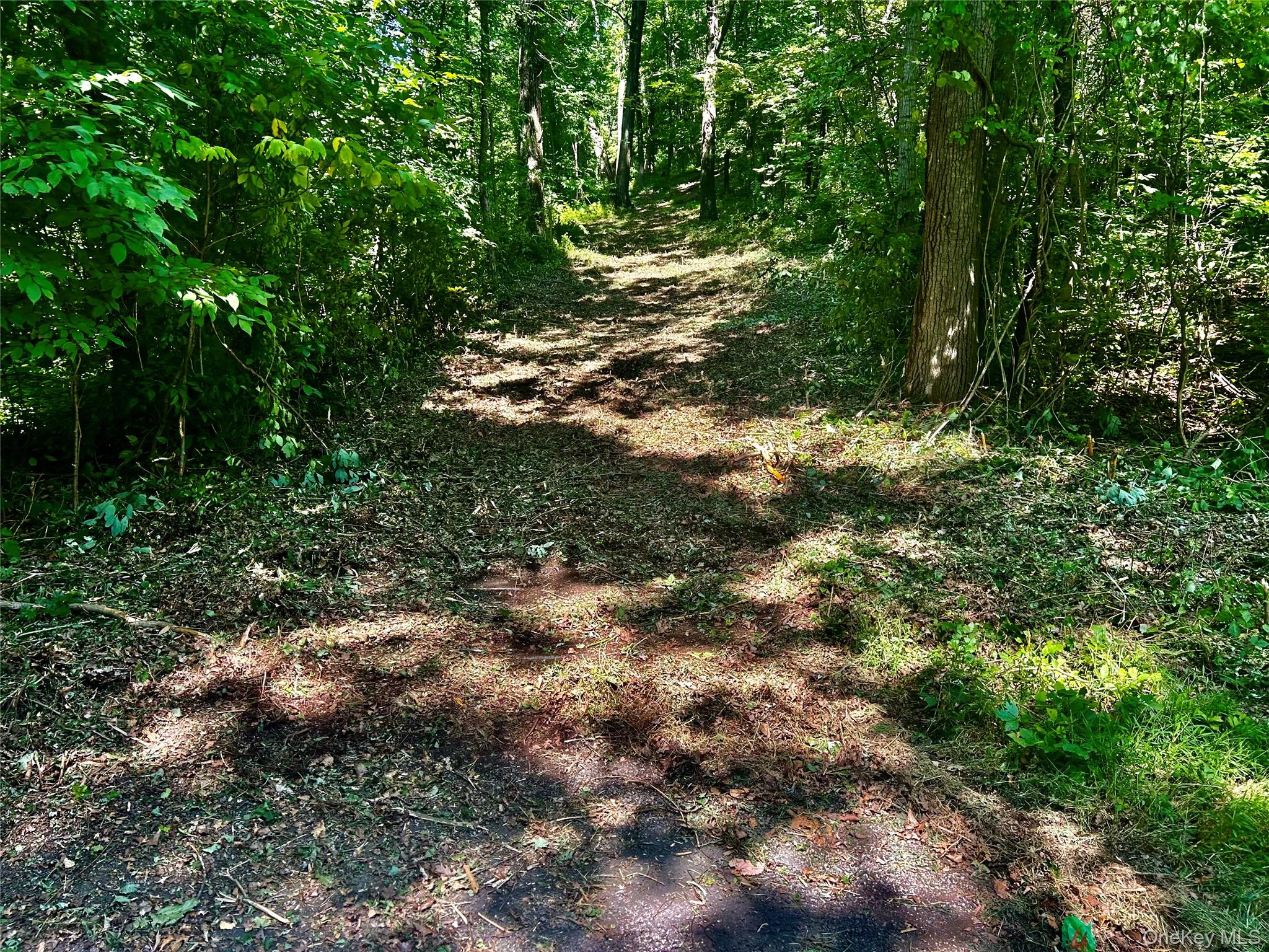 109 Deer Run Road