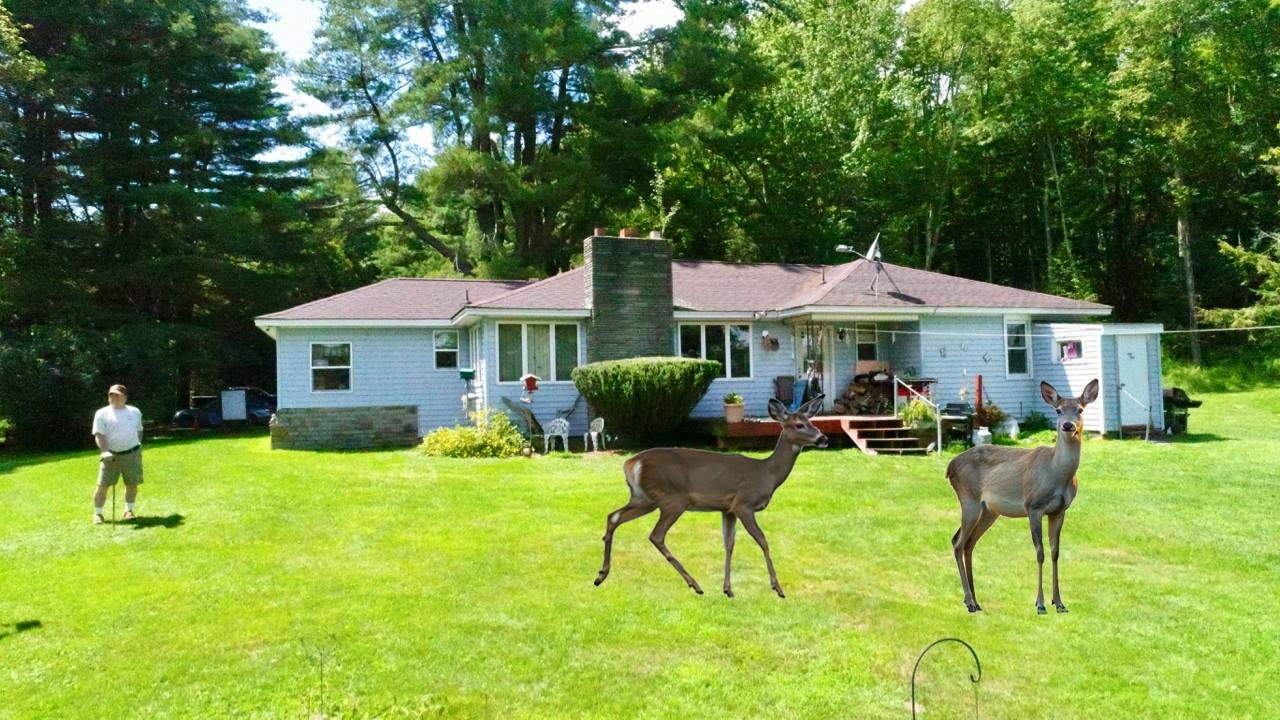 122 Jaketown Road, Swan Lake, New York image 15