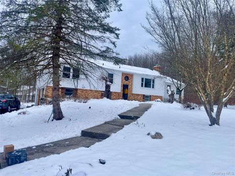 17 Dunthorne Drive Pine Bush NY 12721