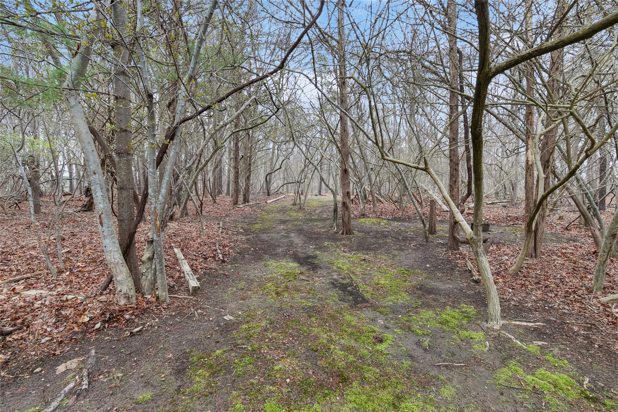 113 Ridge Road, Ridge, New York image 41