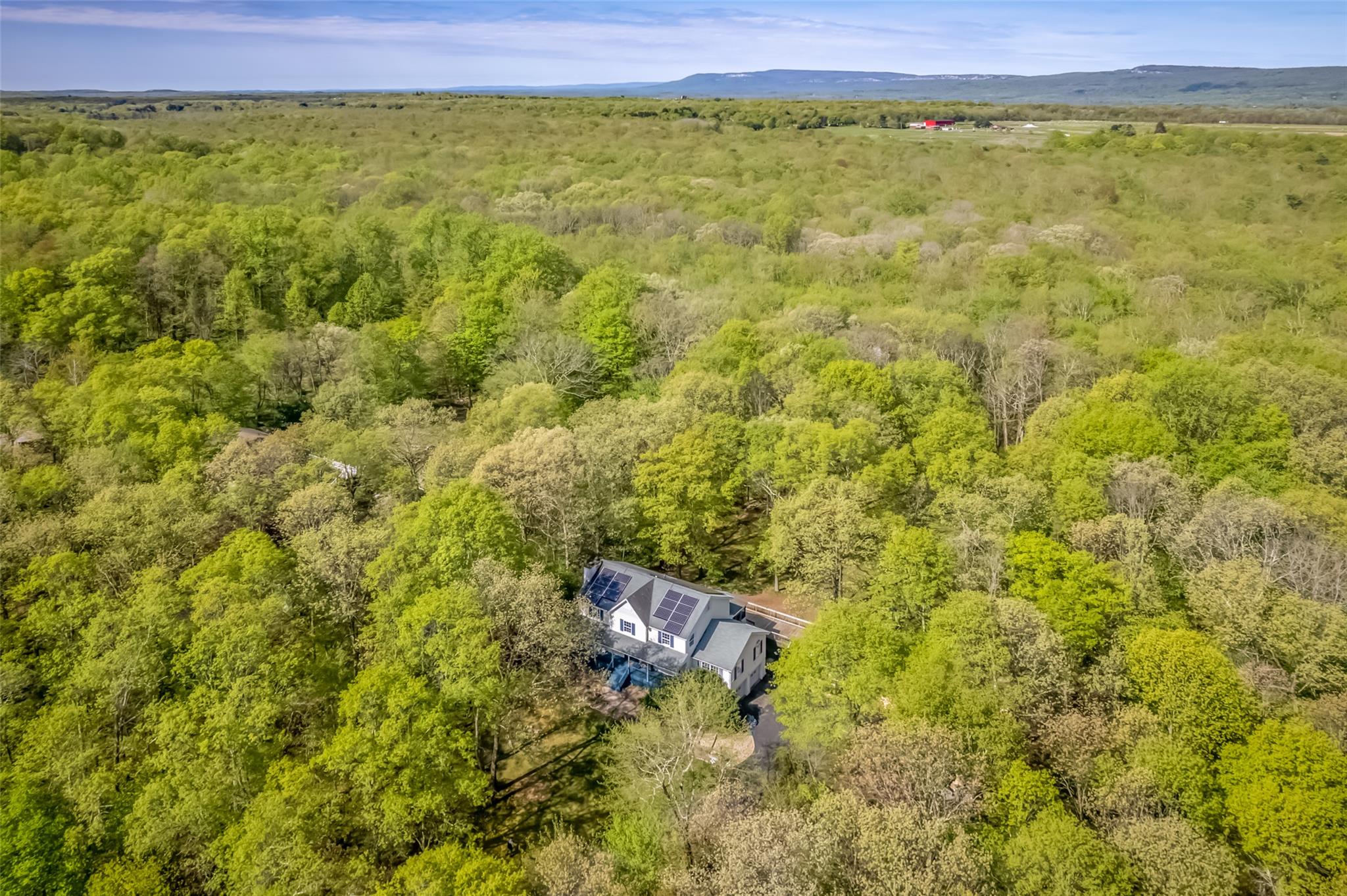 354 Plutarch Road