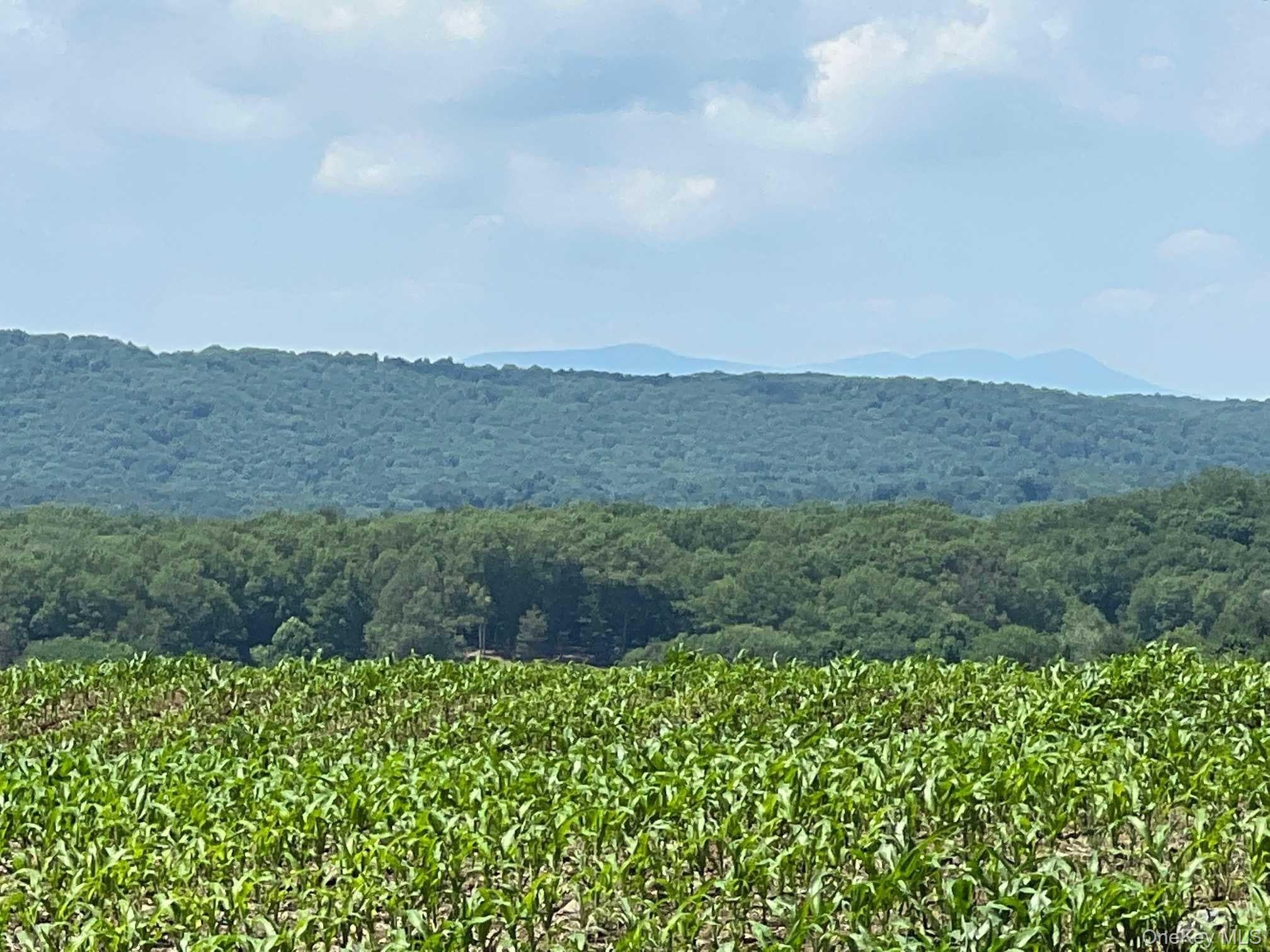 ROUTE 82