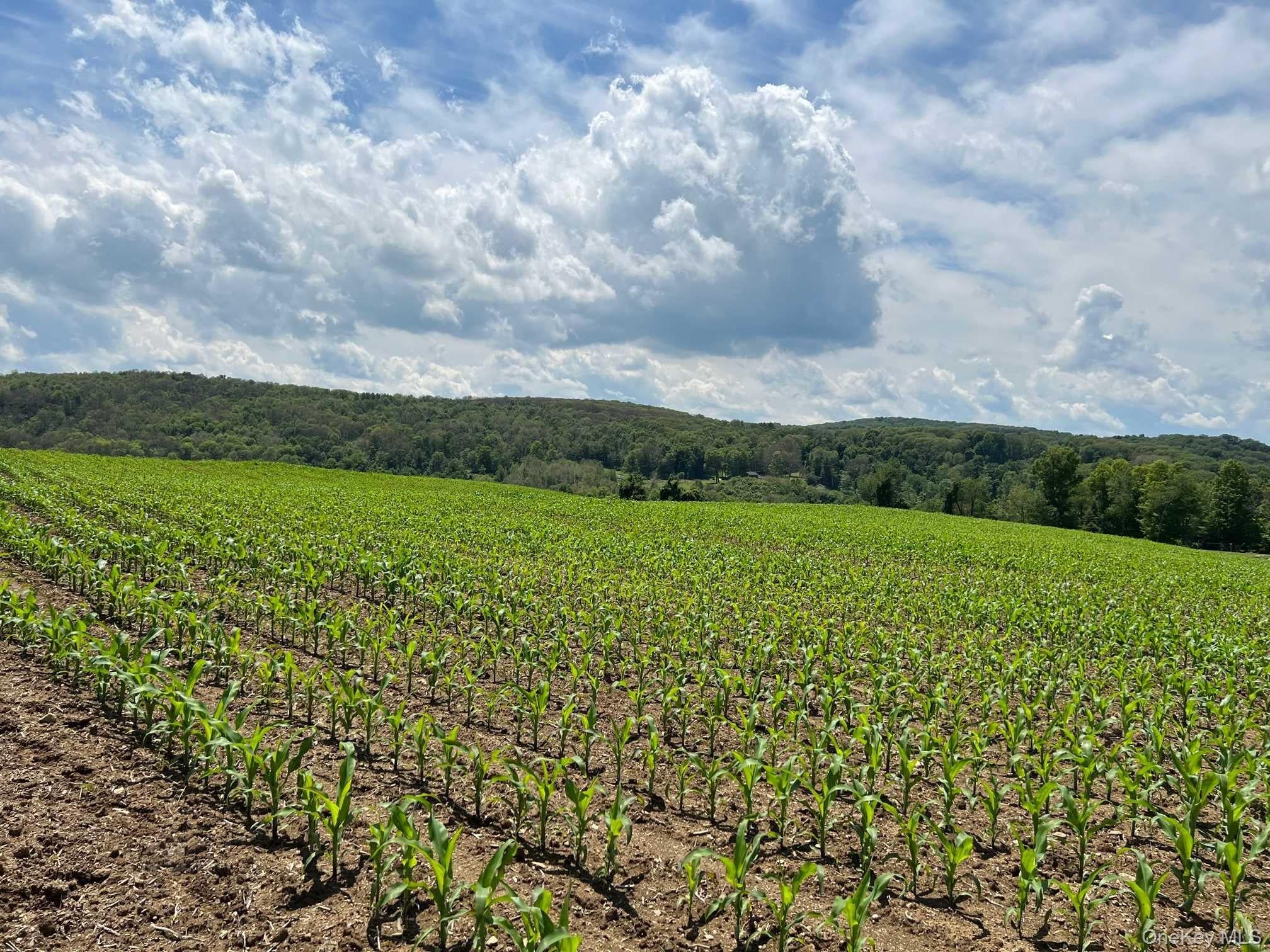 ROUTE 82