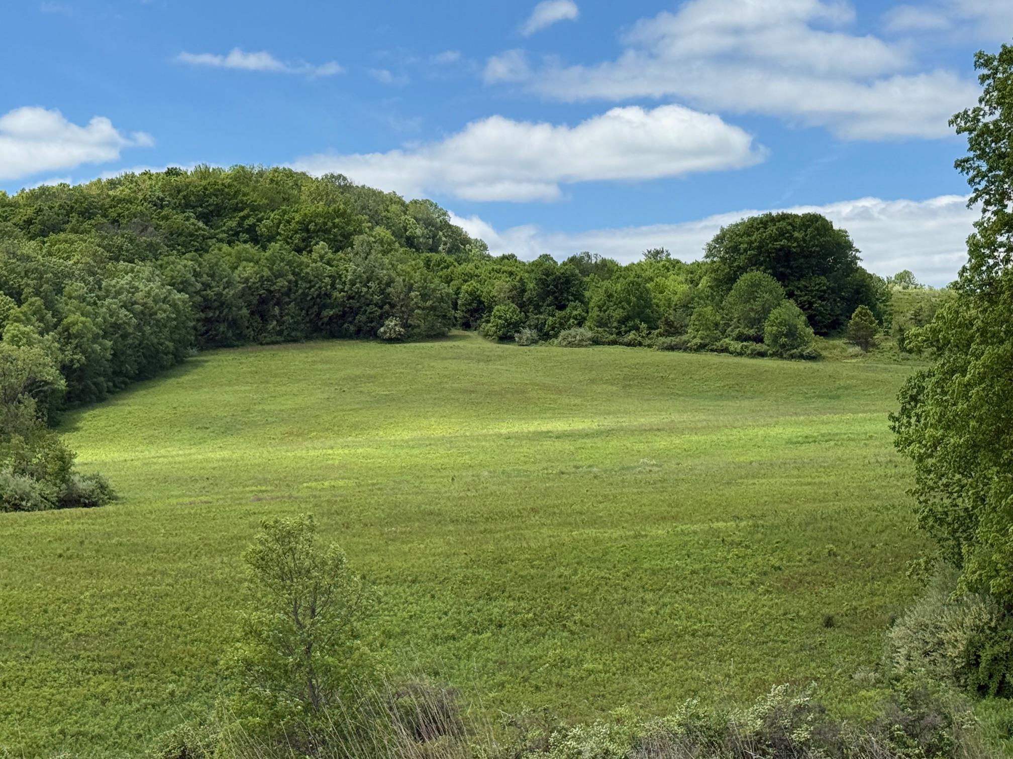 Woodward Hill,Stissng Mount, Hicks Hill, Route 199