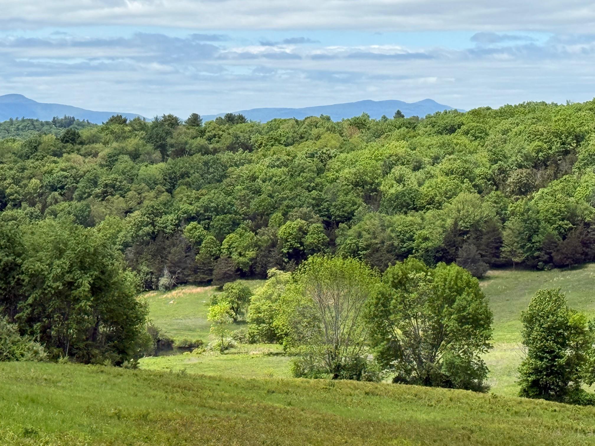 Property for Sale at Woodward Hill Stissng Mount  Hicks Hill  Route 199, Pine Plains, New York -  - $36,000,000