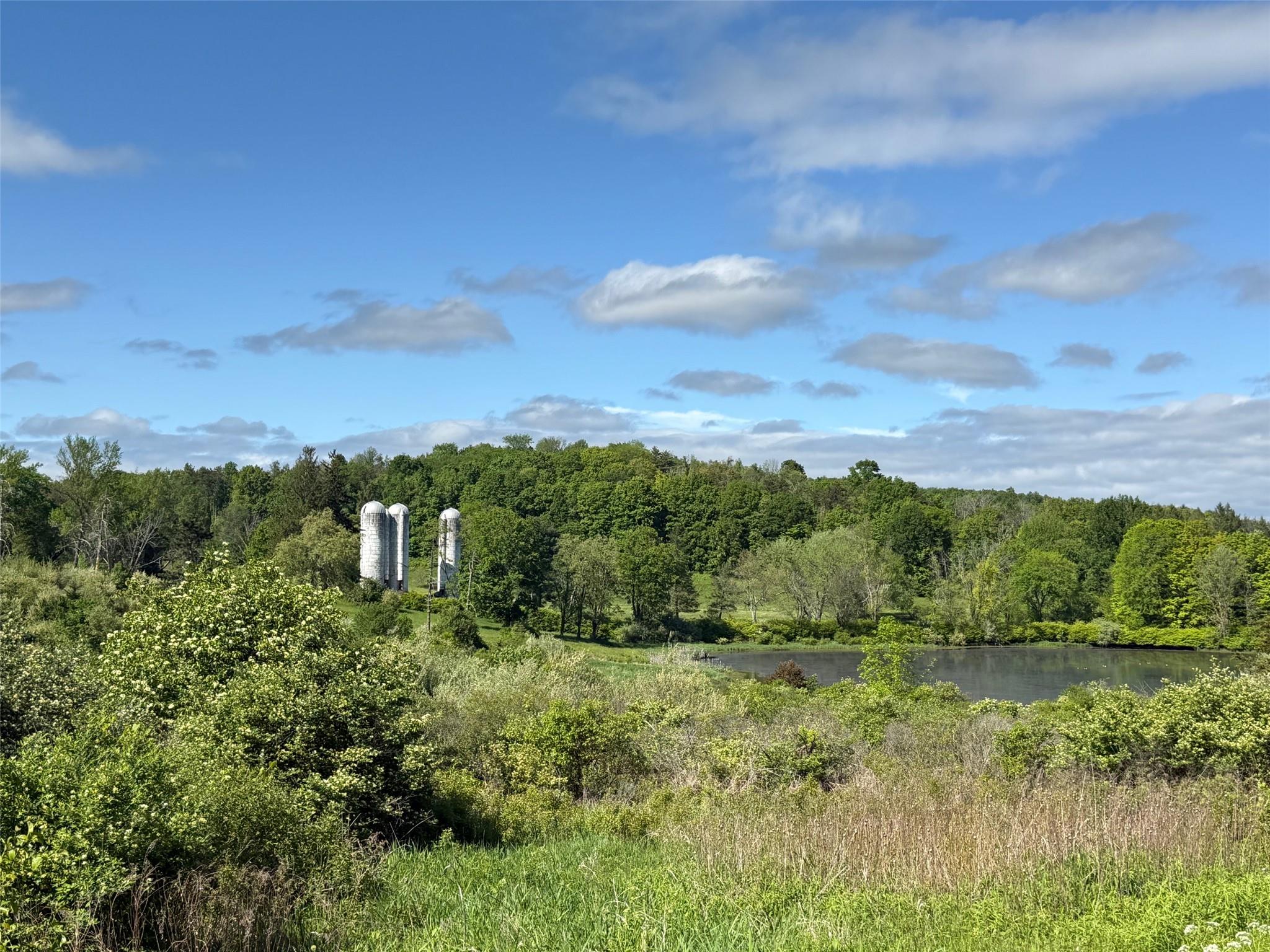 Woodward Hill,stissng Mount, Hicks Hill, Route 199, Pine Plains, New York image 21