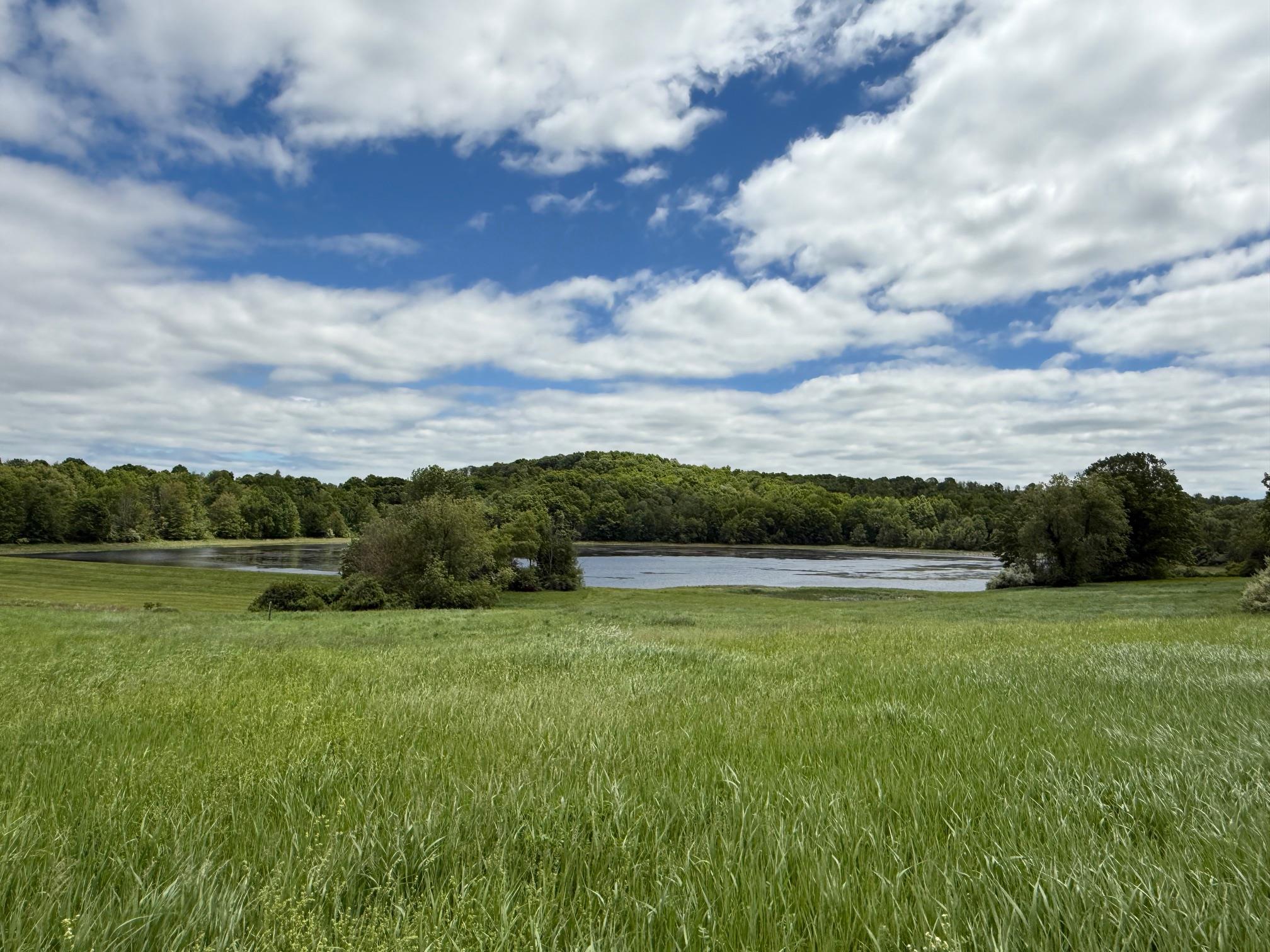 Woodward Hill,stissng Mount, Hicks Hill, Route 199, Pine Plains, New York image 28