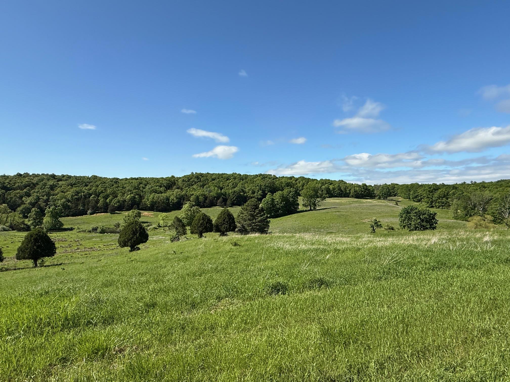 Woodward Hill,stissng Mount, Hicks Hill, Route 199, Pine Plains, New York image 20