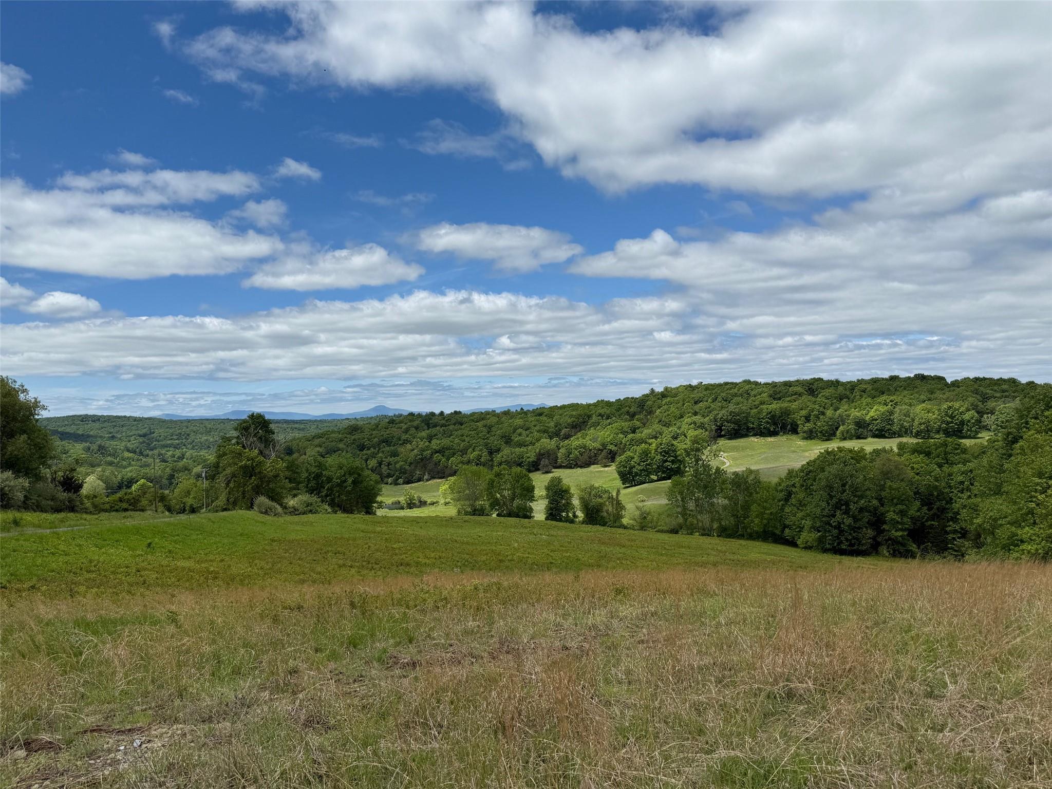 Woodward Hill,stissng Mount, Hicks Hill, Route 199, Pine Plains, New York image 27