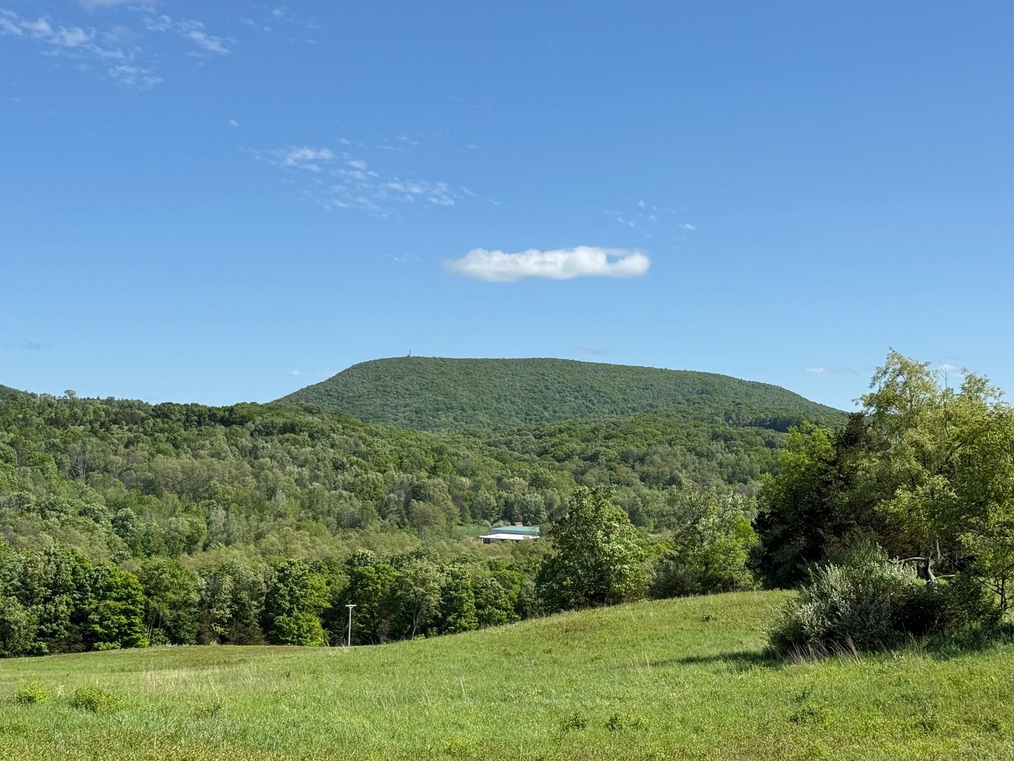 Woodward Hill,stissng Mount, Hicks Hill, Route 199, Pine Plains, New York image 22