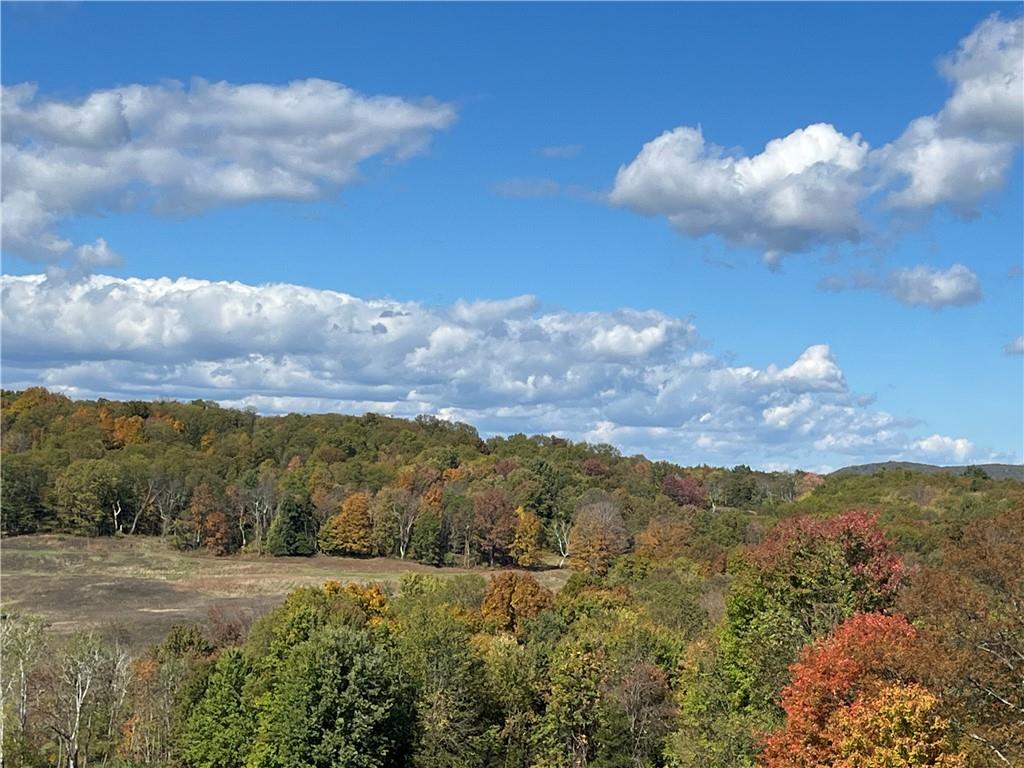 Woodward Hill,stissng Mount, Hicks Hill, Route 199, Pine Plains, New York image 14