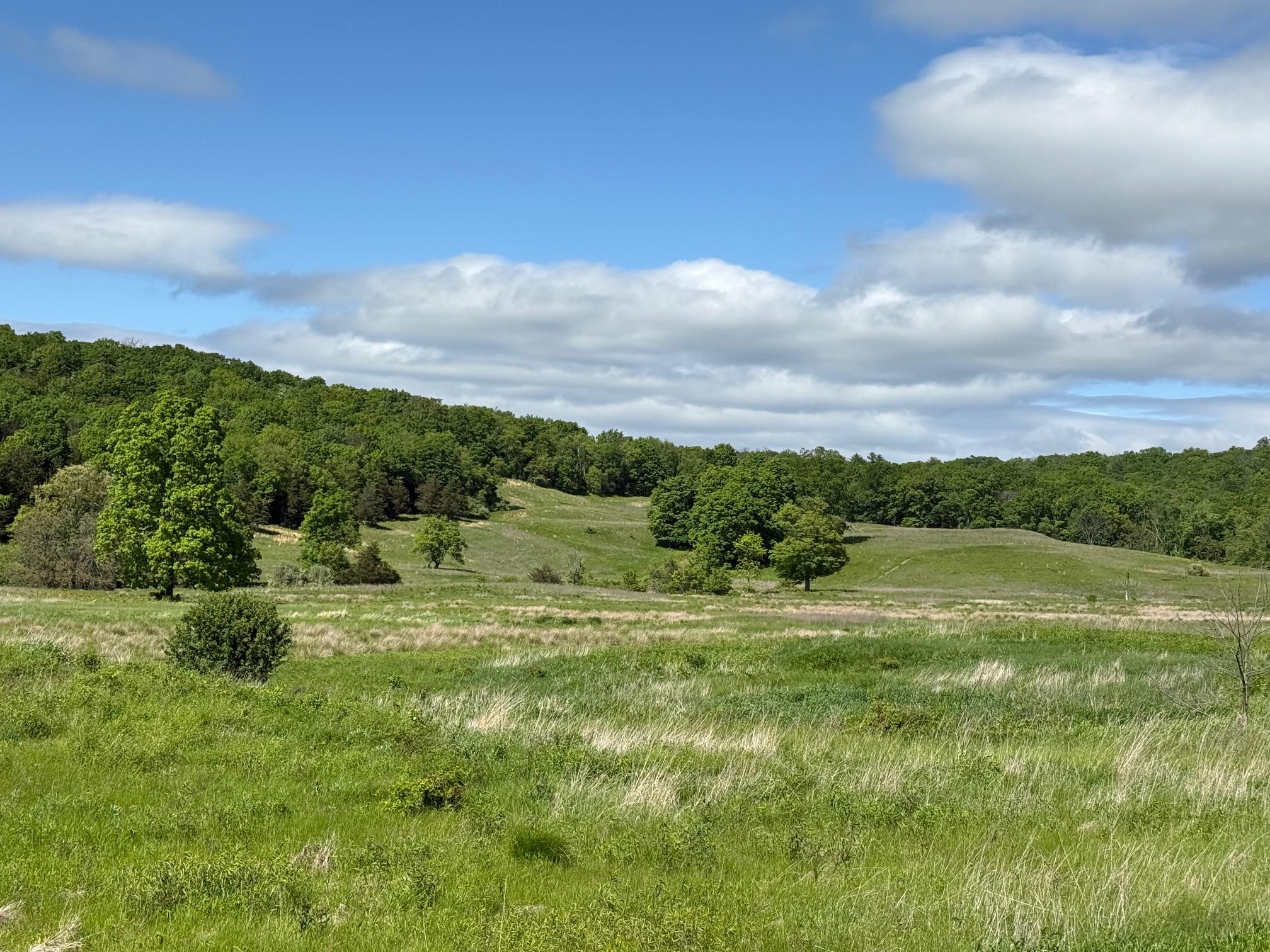 Woodward Hill,stissng Mount, Hicks Hill, Route 199, Pine Plains, New York image 18