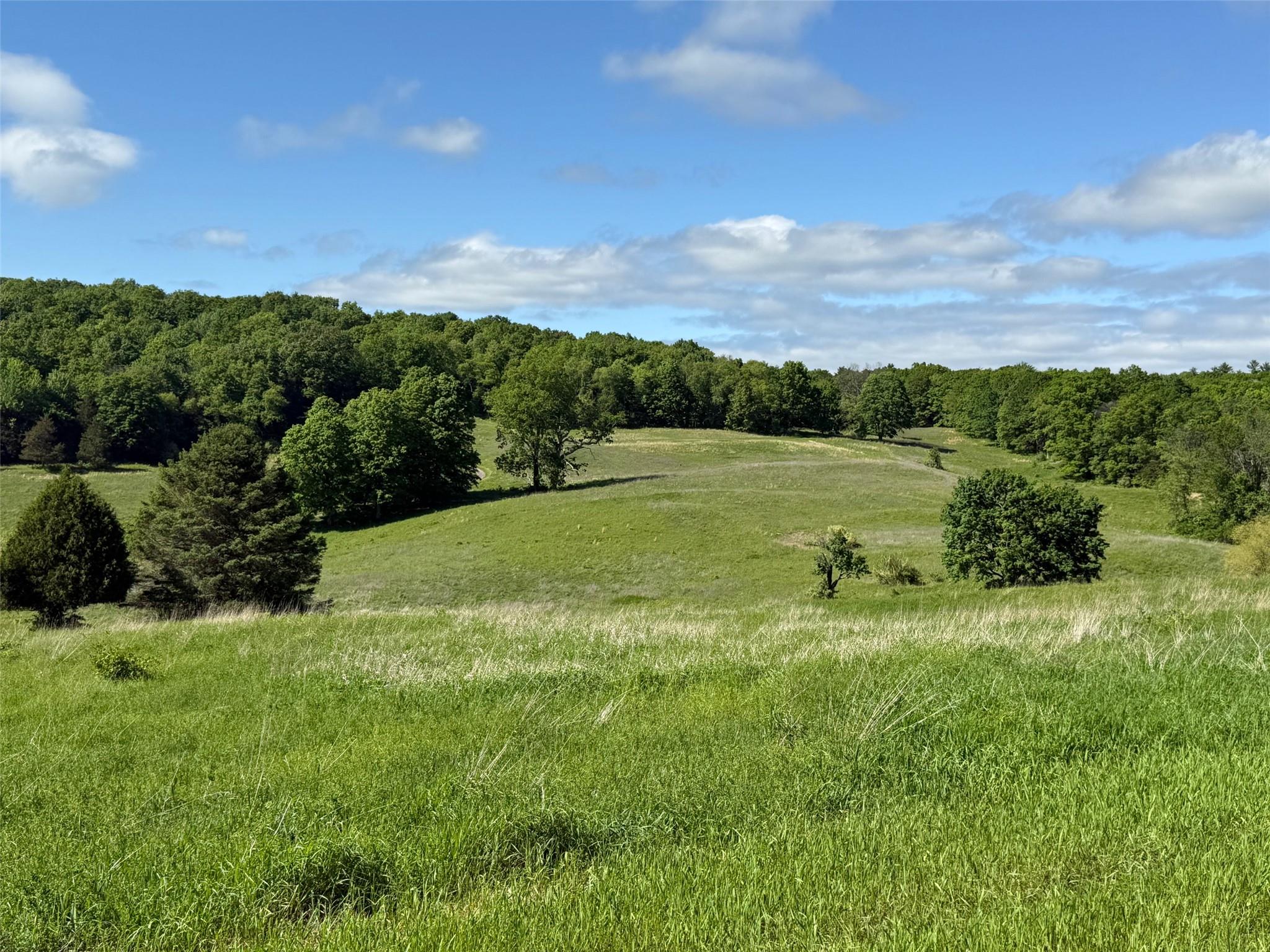 Woodward Hill,stissng Mount, Hicks Hill, Route 199, Pine Plains, New York image 9