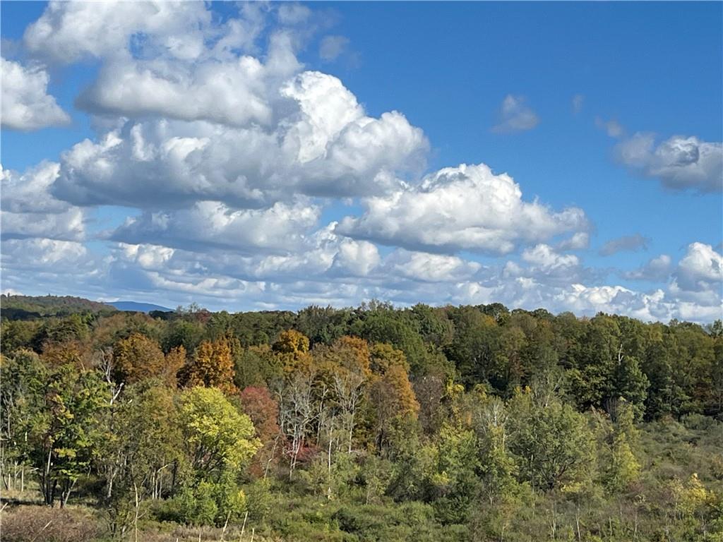 Woodward Hill,stissng Mount, Hicks Hill, Route 199, Pine Plains, New York image 12