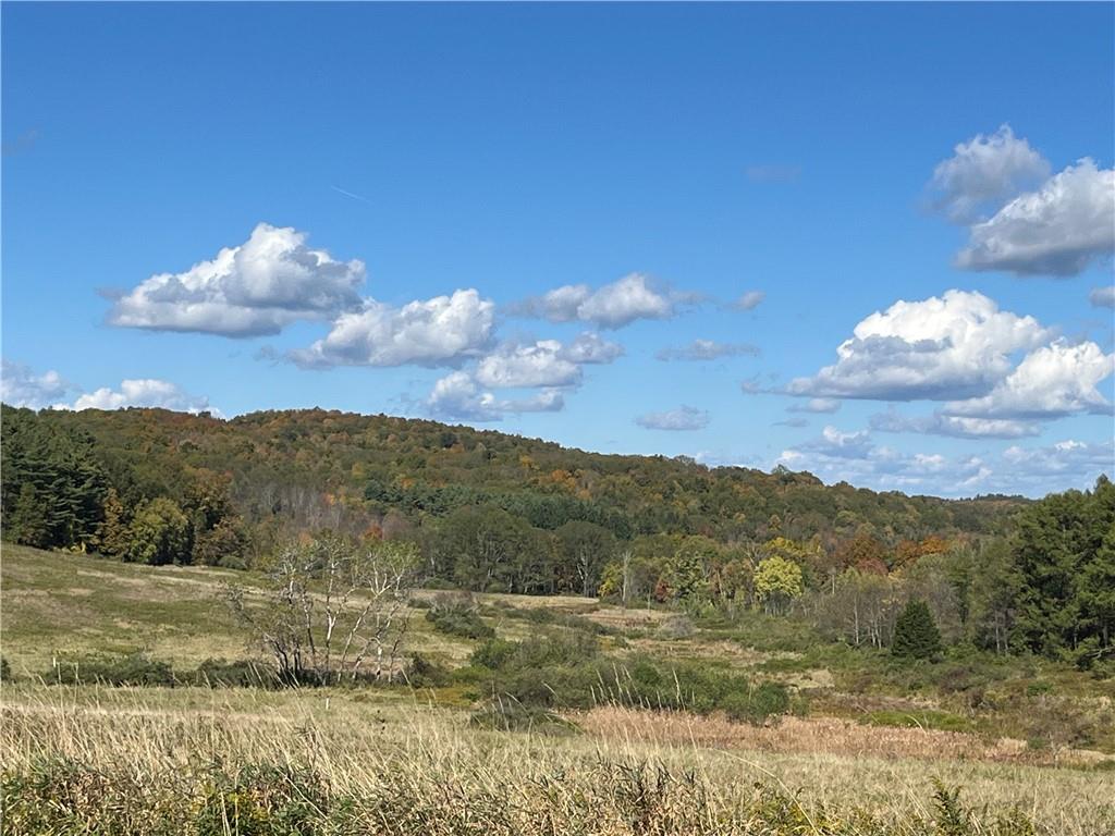 Woodward Hill,stissng Mount, Hicks Hill, Route 199, Pine Plains, New York image 13