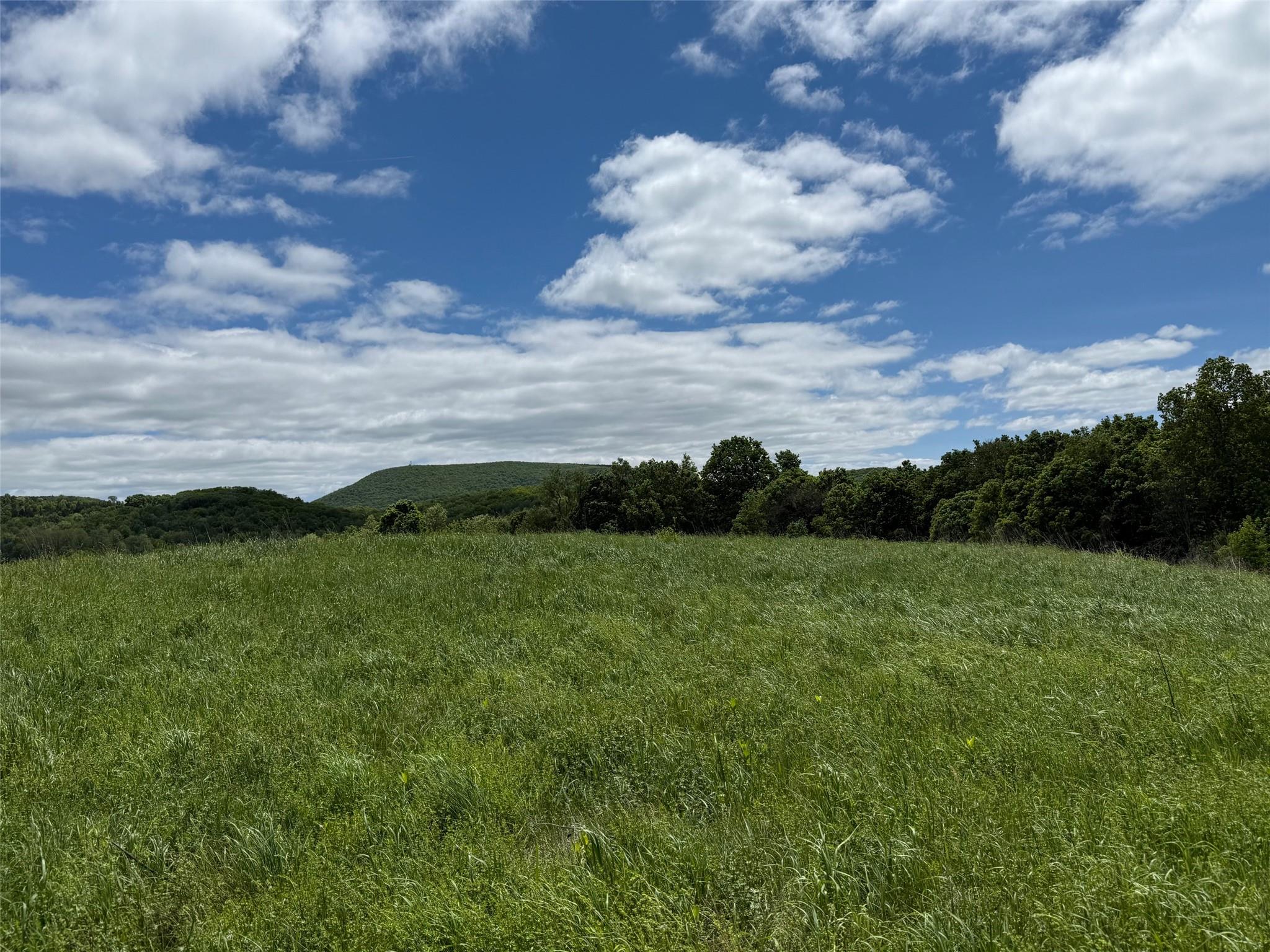 Woodward Hill,stissng Mount, Hicks Hill, Route 199, Pine Plains, New York image 24