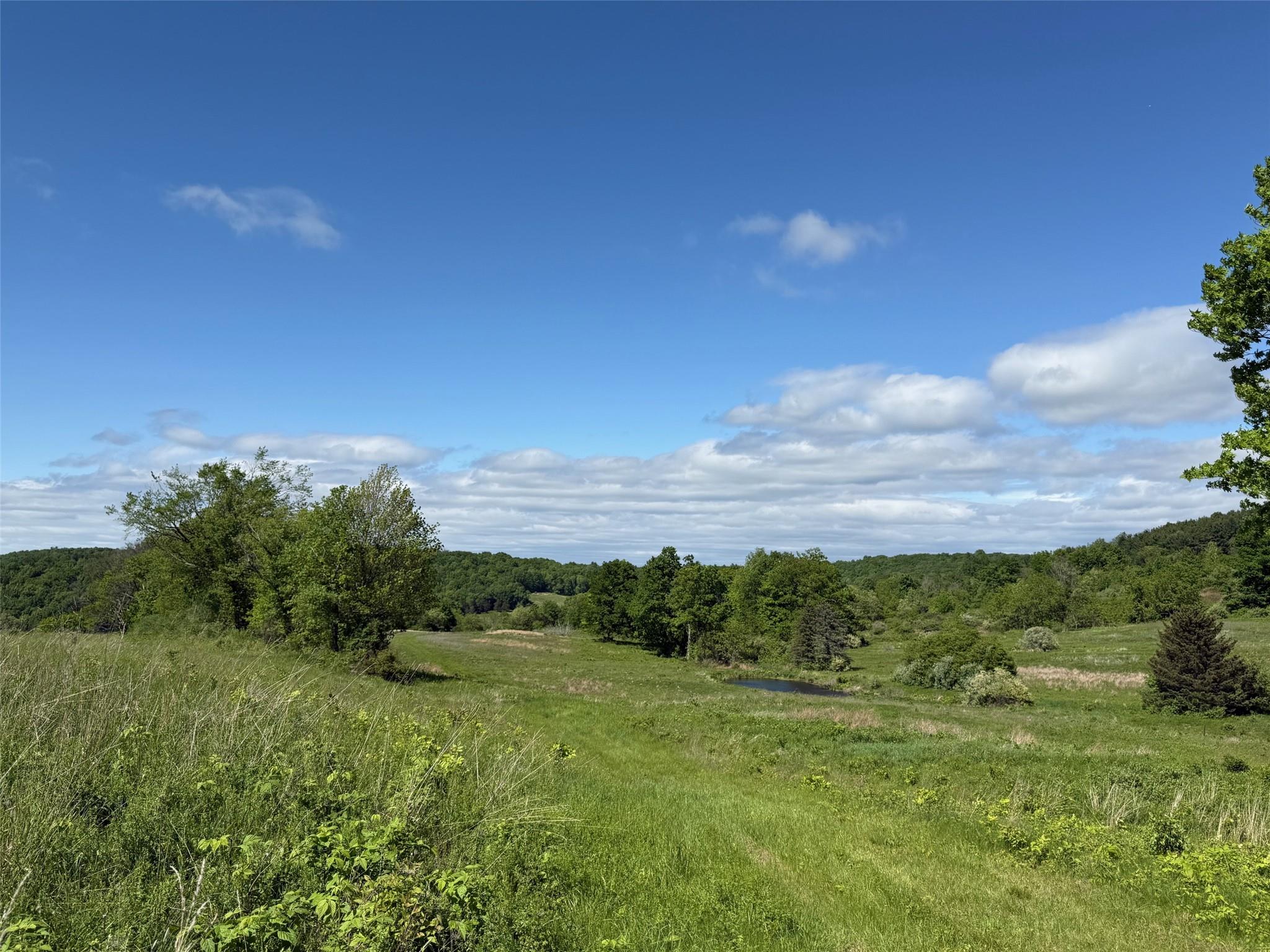 Woodward Hill,stissng Mount, Hicks Hill, Route 199, Pine Plains, New York image 17