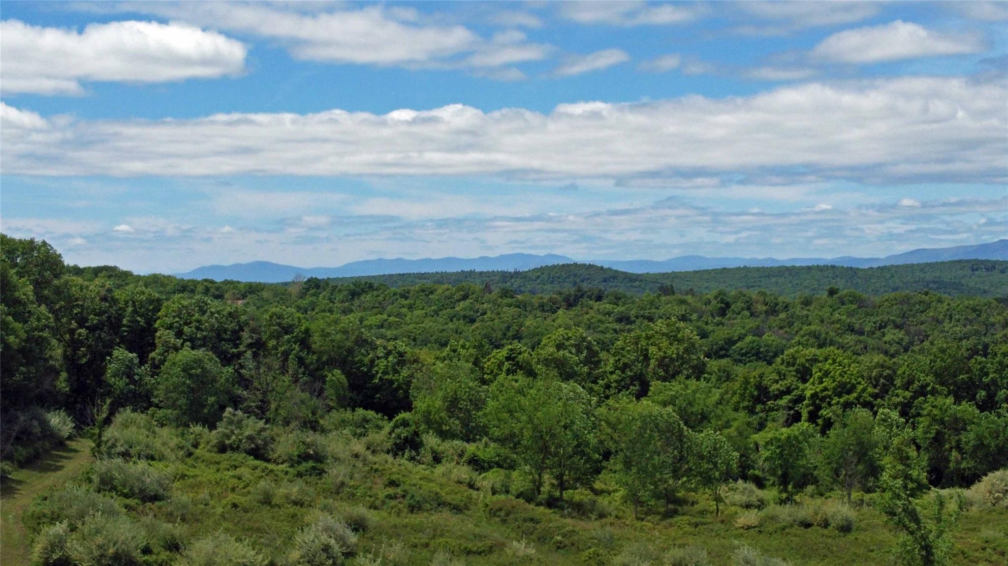 Woodward Hill,stissng Mount, Hicks Hill, Route 199, Pine Plains, New York image 16