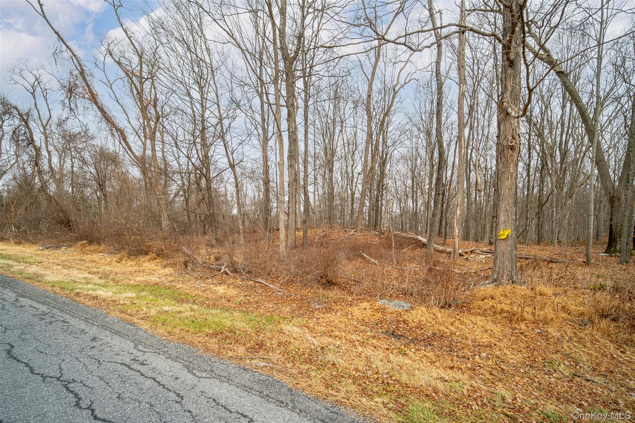 Baker Road