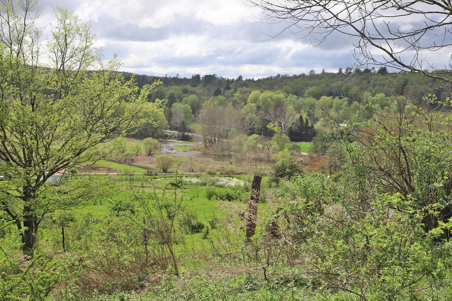 320 Fulton Hill Road, Callicoon, New York image 32
