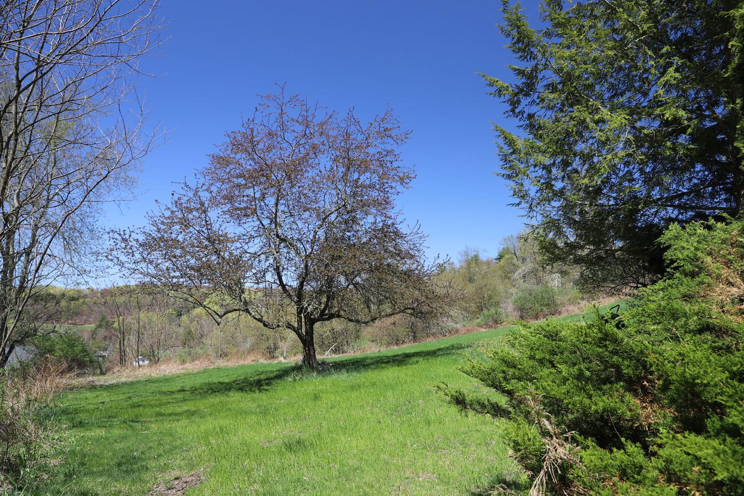 320 Fulton Hill Road, Callicoon, New York image 30