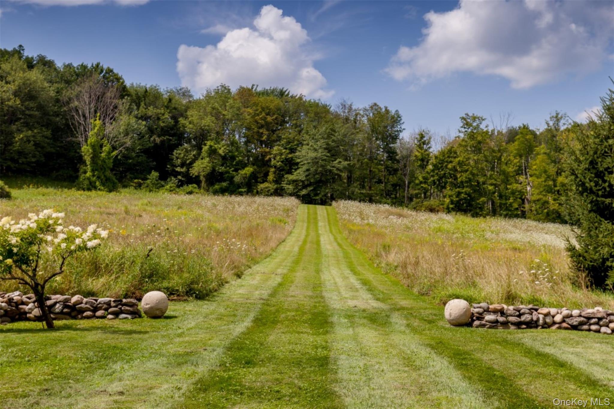 Millbrook, New York 12545, United States, 6 Bedrooms Bedrooms, ,6 BathroomsBathrooms,Residential,Active,239750