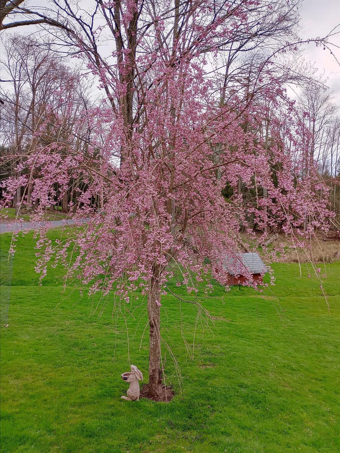 466 Rose Road, Woodbourne, New York image 31
