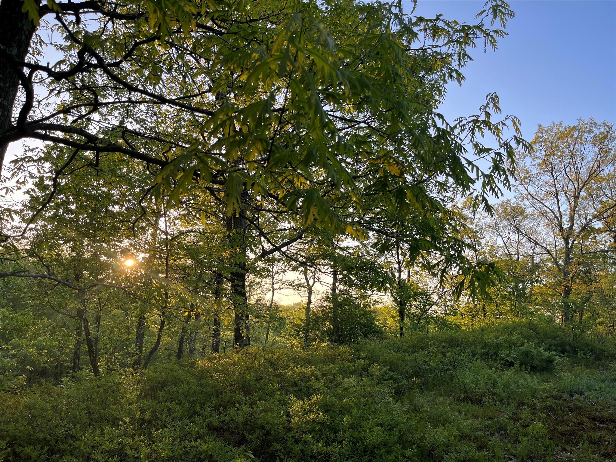 554 And 545 E Mountain Rd. North Rd, Cold Spring, New York image 8