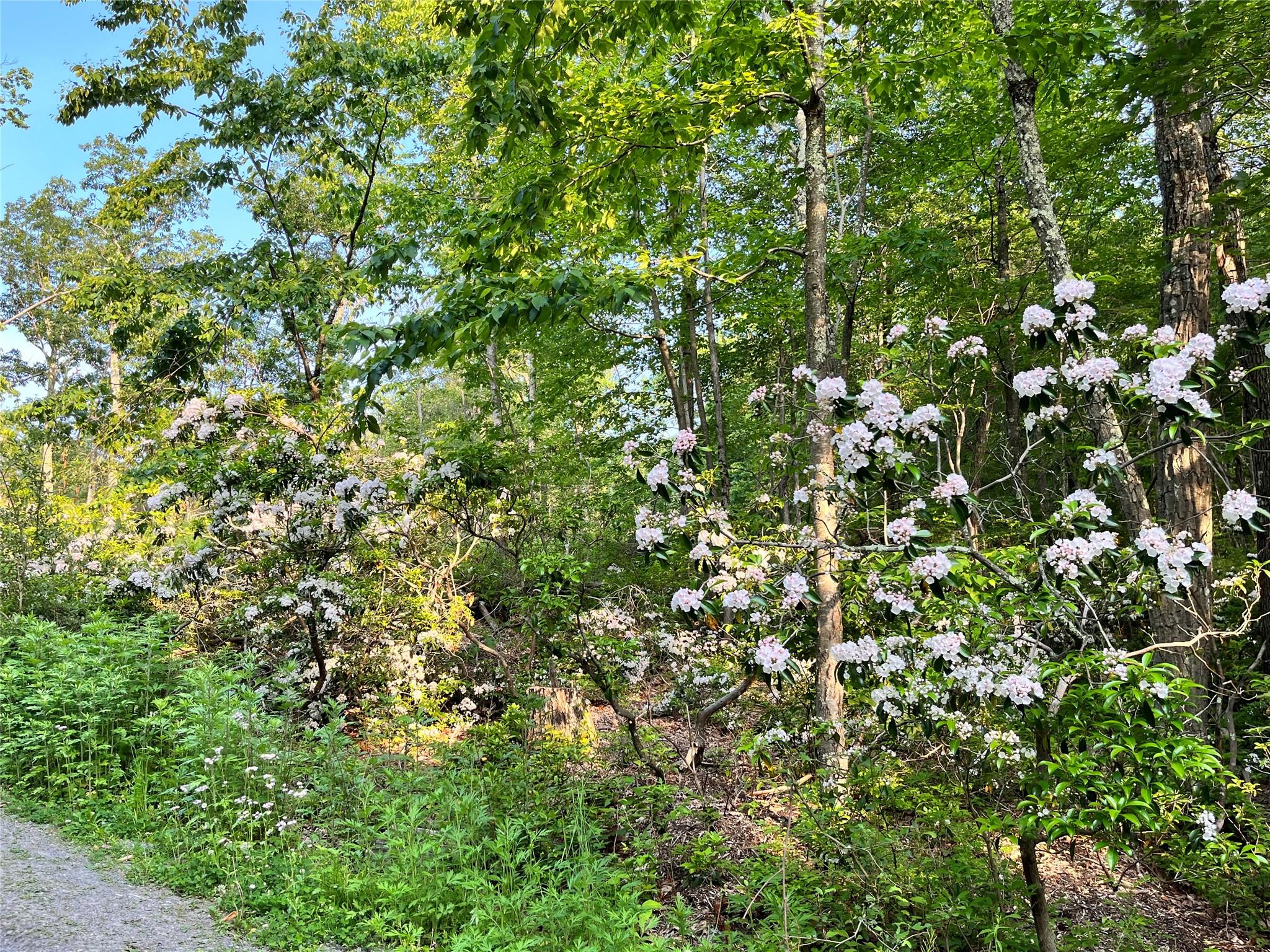 554 And 545 E Mountain Rd. North Rd, Cold Spring, New York image 9