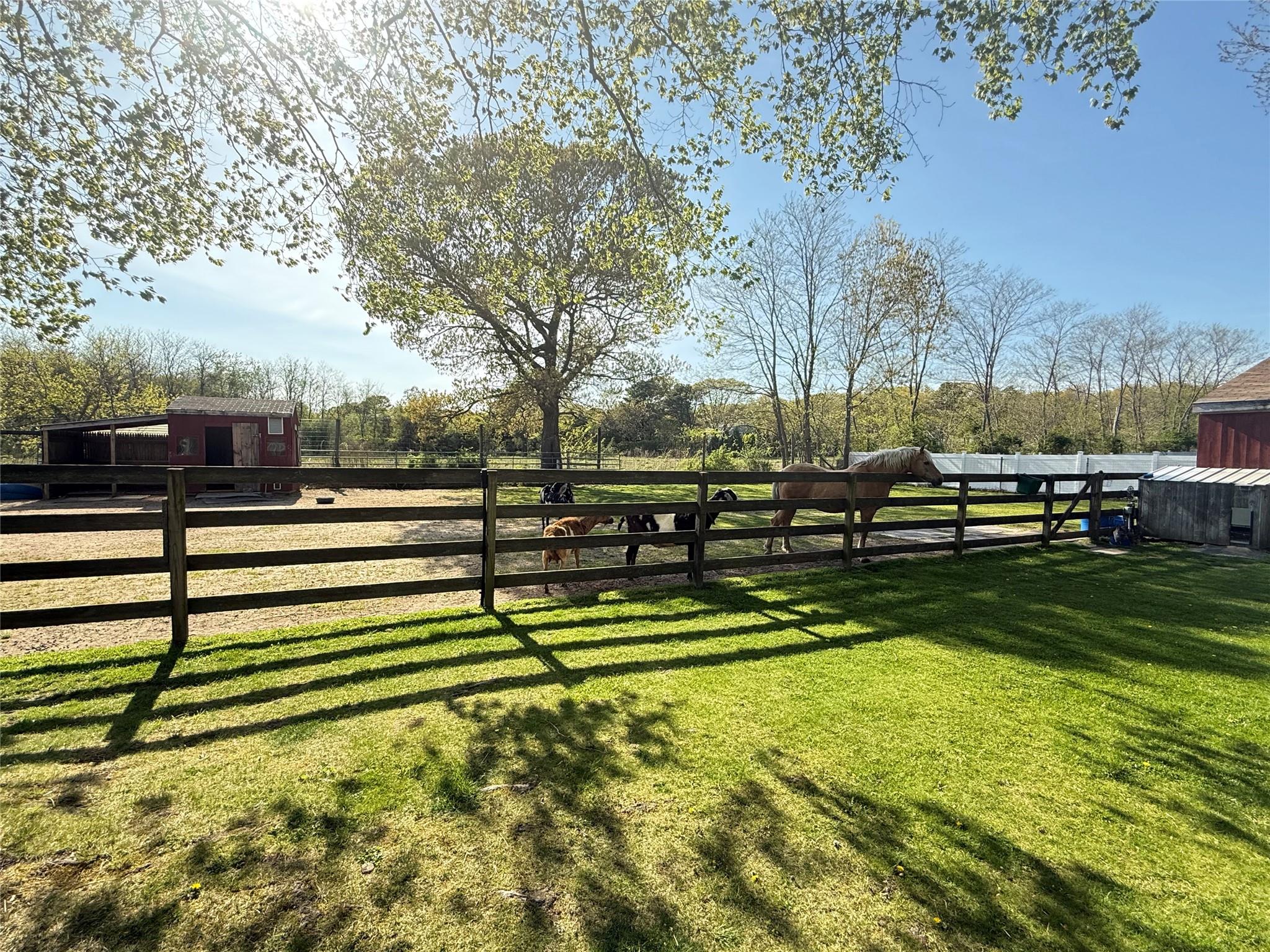 121 Fresh Pond Avenue, Calverton, New York image 17
