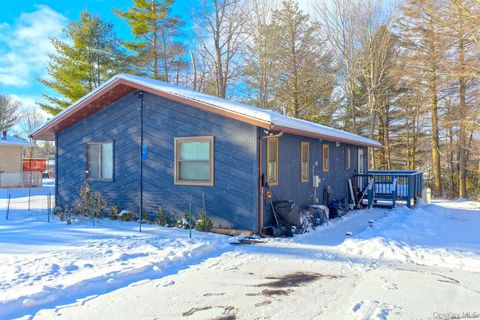 9 Gail Drive Loch Sheldrake NY 12759