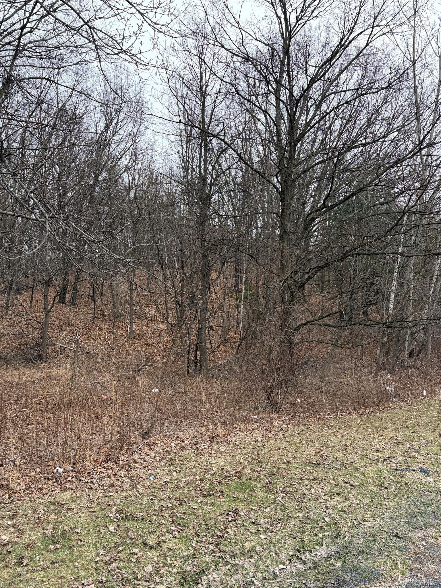 3748 US Highway 9W