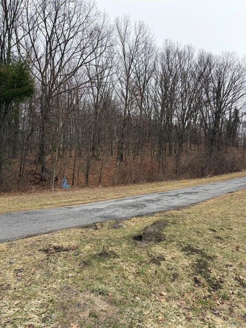 Vacant Land For Sale - 3748 Us Highway 9w<br/> Highland, NY 12528