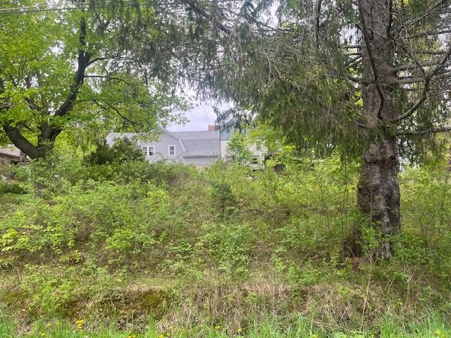23 Maiden Lane, Livingston Manor, New York image 3
