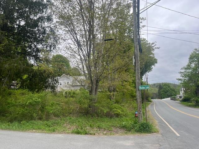 23 Maiden Lane, Livingston Manor, New York image 4