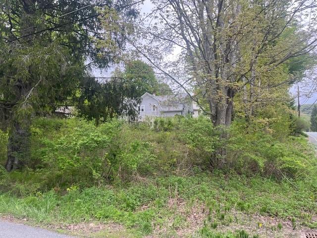 23 Maiden Lane, Livingston Manor, New York image 2