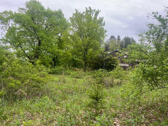 23 Maiden Lane, Livingston Manor, New York image 5