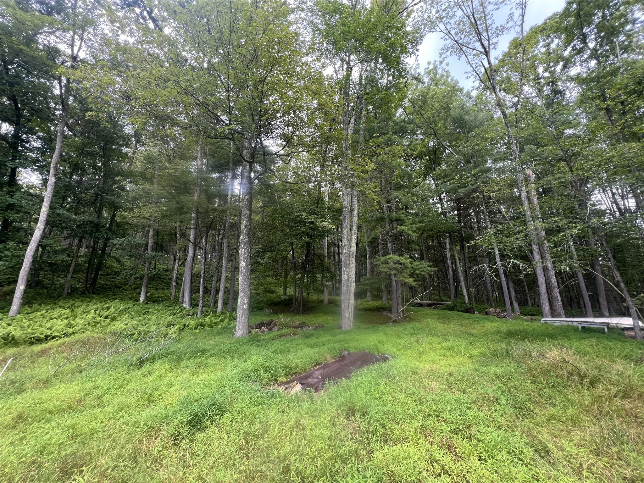 259 Lackawaxen Road