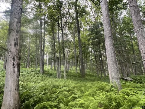 Vacant Land For Sale - 259 Lackawaxen Road<br/> Narrowsburg, NY 12764