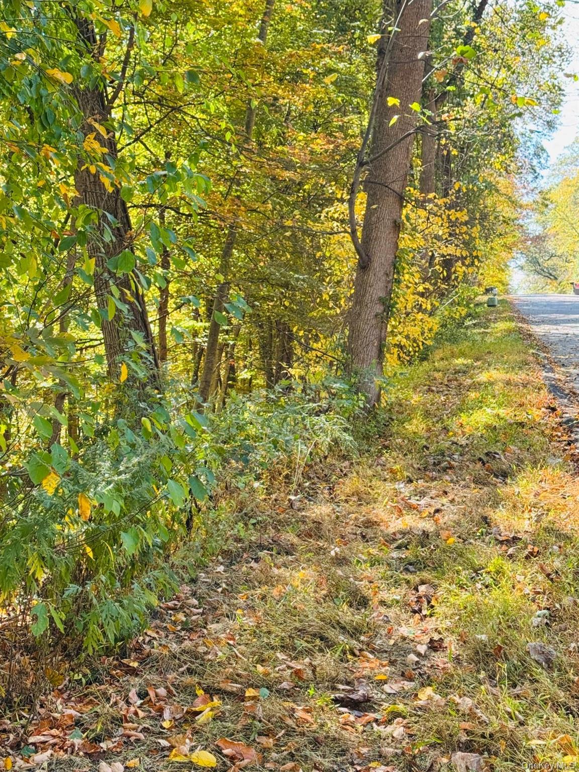 lot 10 Shamrock Drive