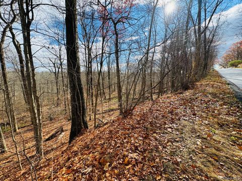 Homes For Sale - LOT 10 Shamrock Drive<br/> Putnam Valley, NY 10579