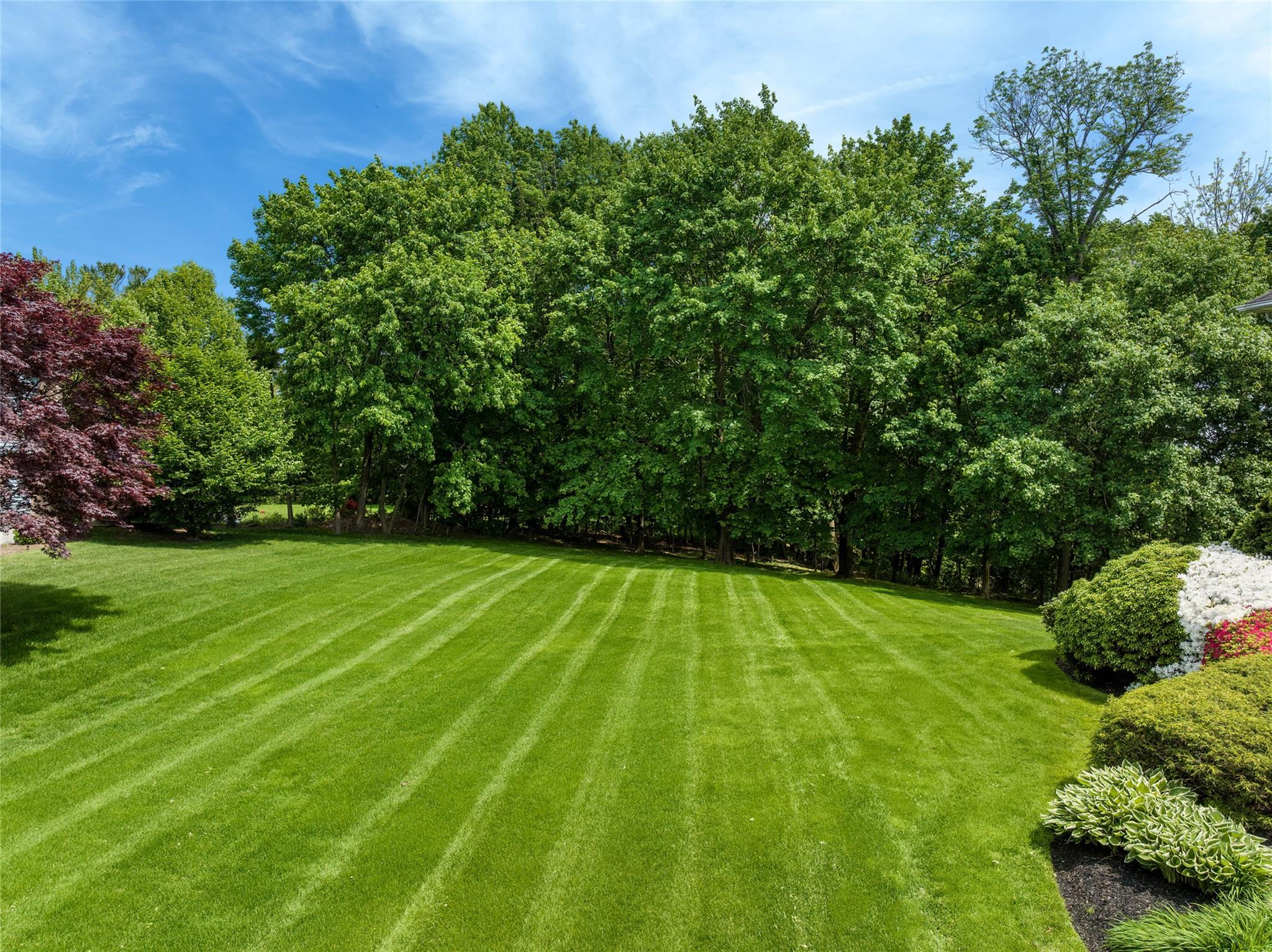 8 Paddock Road, White Plains, New York image 25