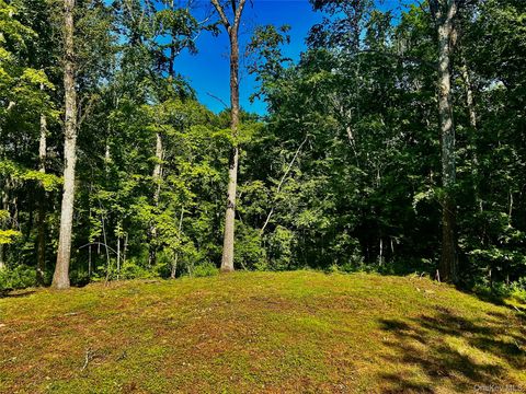 Vacant Land For Sale - 80 Forever Ivy Lane<br/> Hyde Park, NY 12538