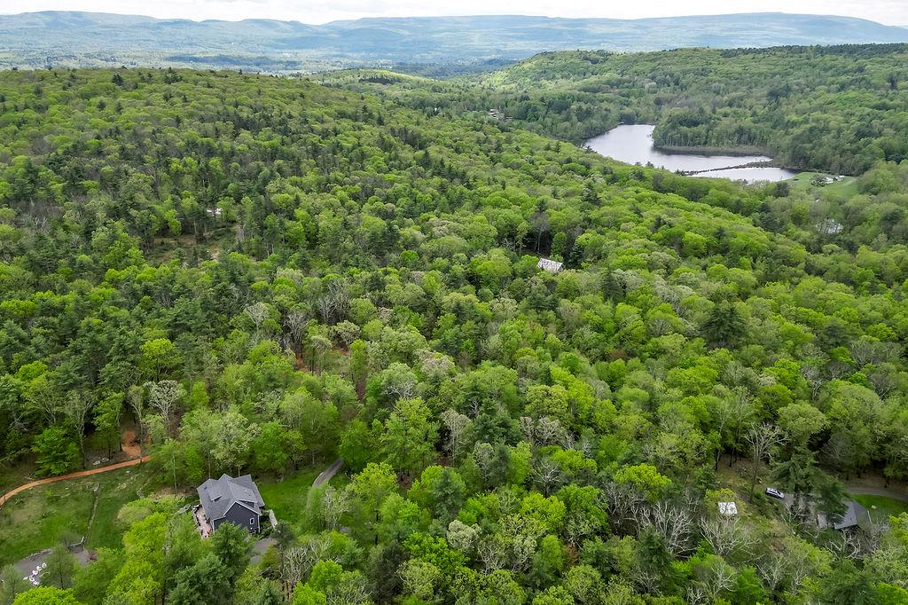 43 Bee Tree Lane, Accord, New York image 35