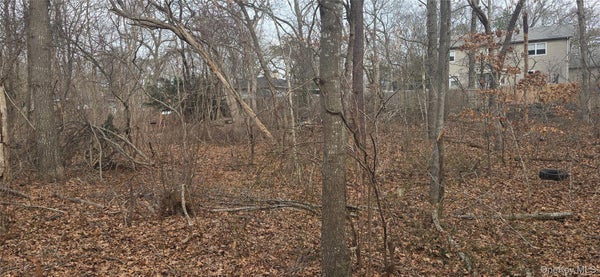 46 BEDFORD AVE, MASTIC, NY 11950 - Image b3d48b0b51c850e5ba34168dcdb91cdf/3394166533