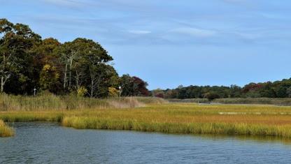 18 Brushy Neck Lane, Westhampton, New York image 3