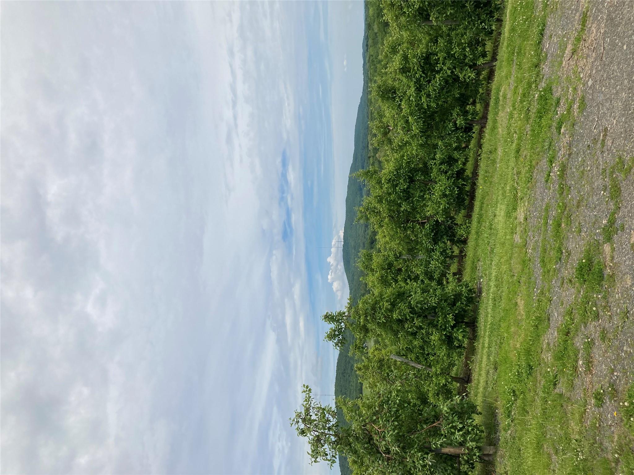 73 Peach Lane, Marlboro, New York image 19