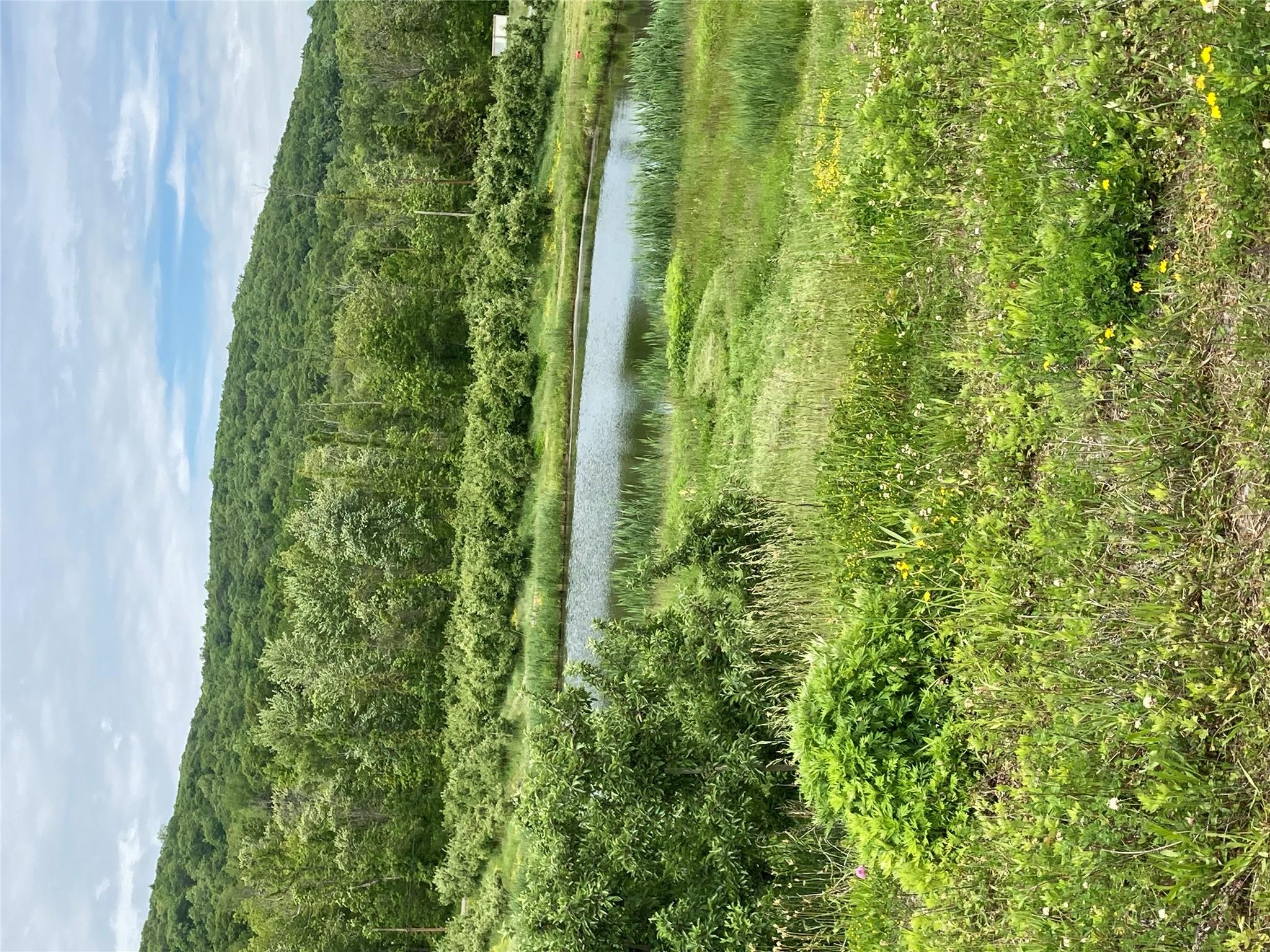 73 Peach Lane, Marlboro, New York image 24
