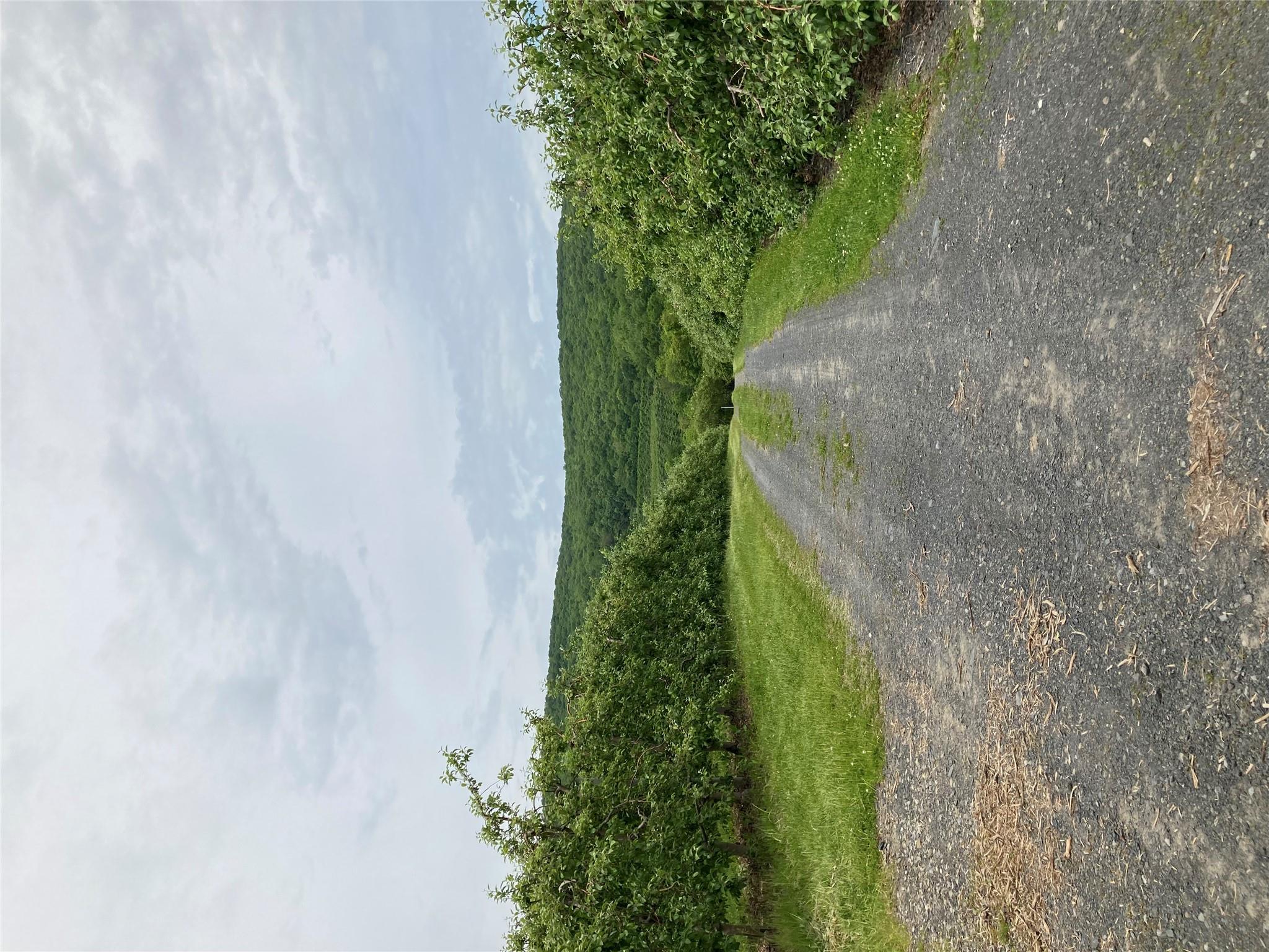 73 Peach Lane, Marlboro, New York image 23